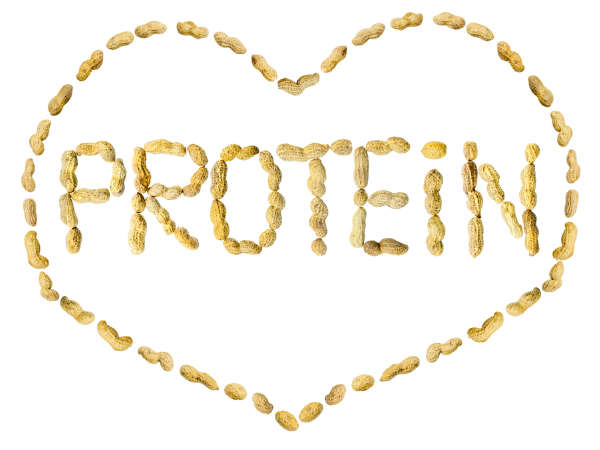 ప్రోటీన్స్