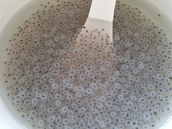 6. తులసి :