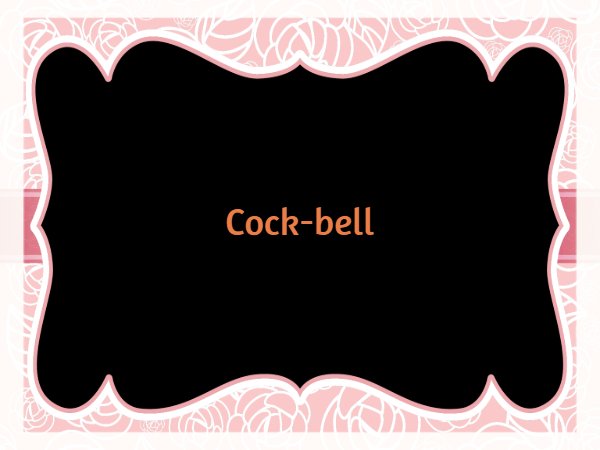 కాక్-బెల్ :