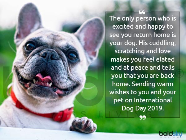 కుక్కల దినోత్సవం ఎప్పుడొచ్చింది..