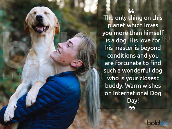 శునకాల వల్ల ప్రయోజనాలివే..