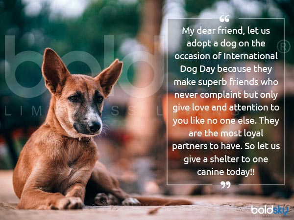 సానుకూల శక్తి ప్రారంభించేందుకు..