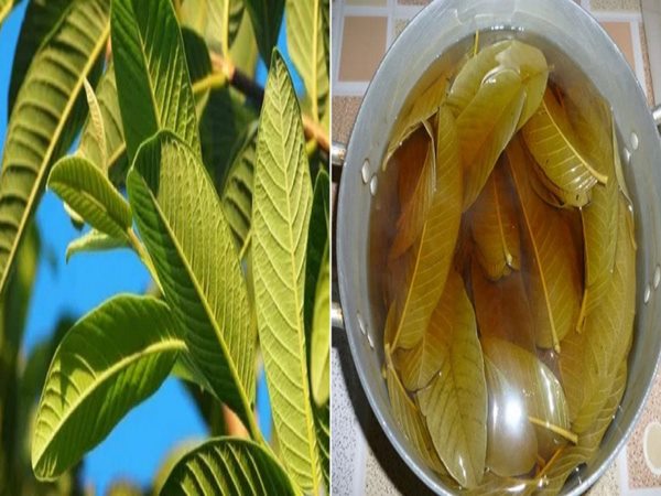 పంటినొప్పికి కారణాలు, లక్షణాలు, ప్రయోజనాలు