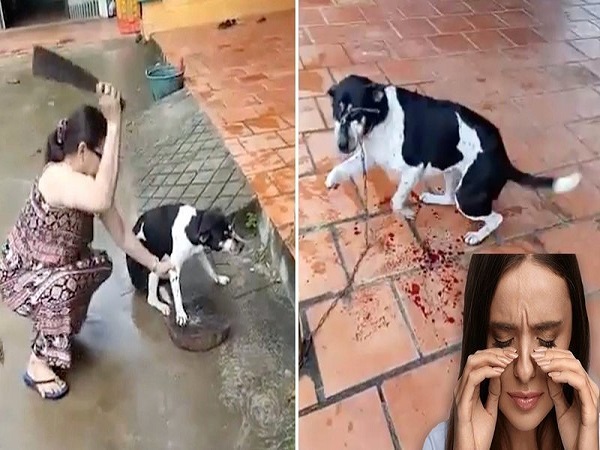 5) గతంలో జైలుకు వెళ్లిన మహిళ..