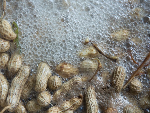 జీర్ణవ్యవస్థకు మంచిది