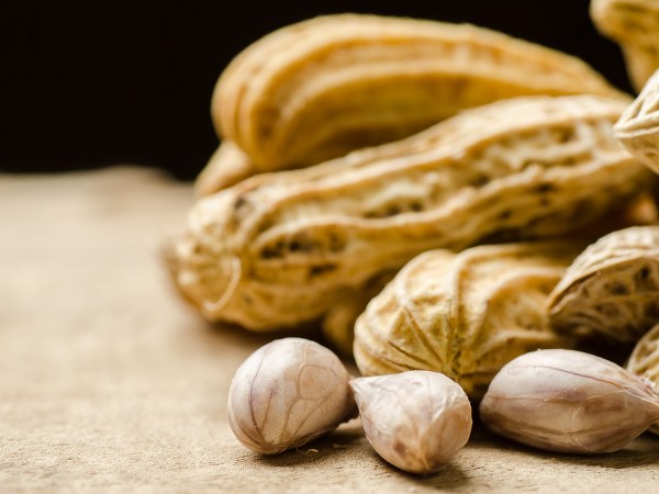 శక్తి మరియు ప్రోటీన్ కి మూలం