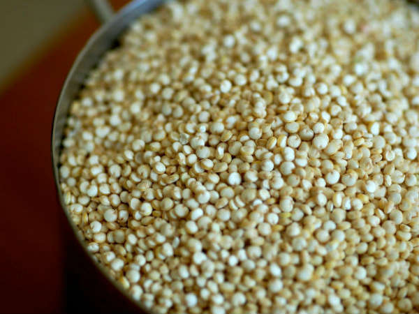 ఫోక్స్‌టైల్ మిల్లెట్