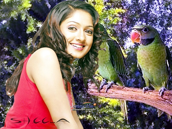 మిథున రాశి : చిలుక