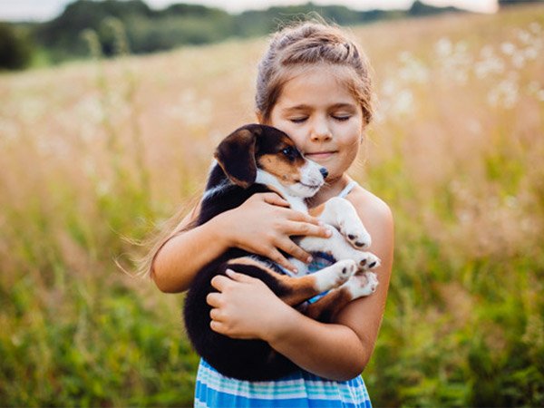 మూగ జీవాలను సైతం..