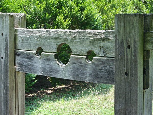 ఆఫ్ఘన్ లో అత్యంత వేగంగా..