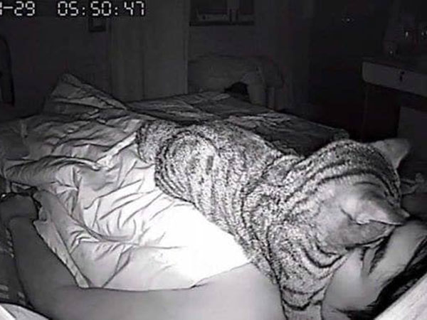 మీరు ప్రయత్నిస్తే జాగ్రత్త...