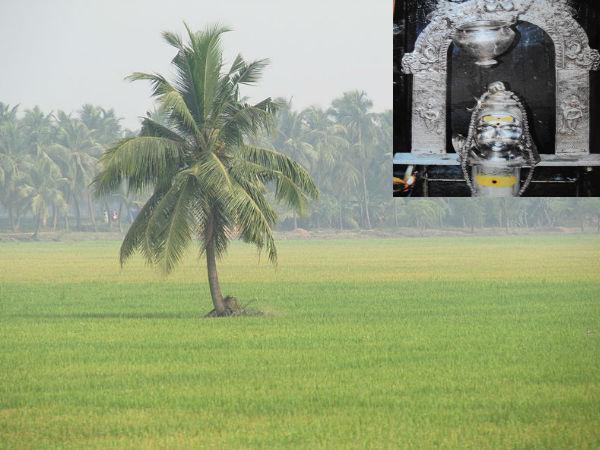 బొమ్మల కొలువులు..