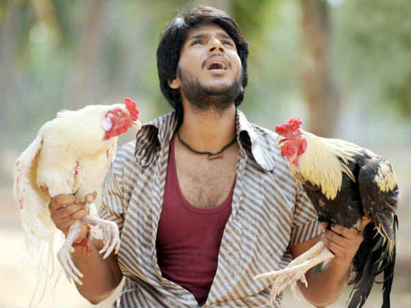 కోడి పుంజుల్లో జాతులు..