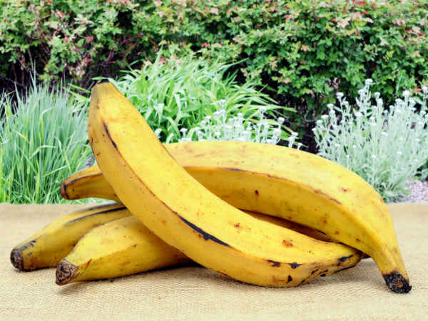 కఫం ఏర్పడటానికి కారణం అయ్యే ఆహారాలు