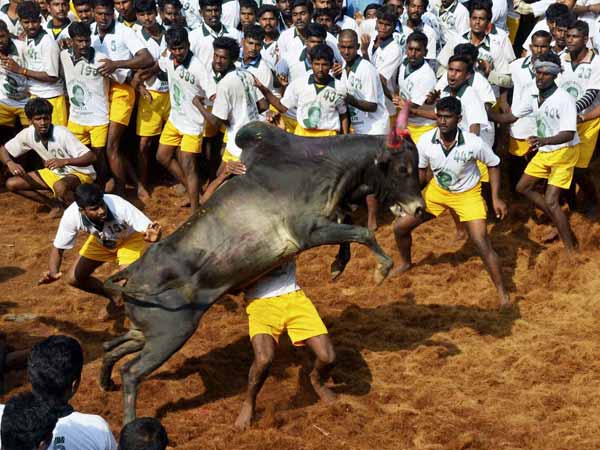 తమ ధైర్యాన్ని చాటి చెప్పేందుకు..