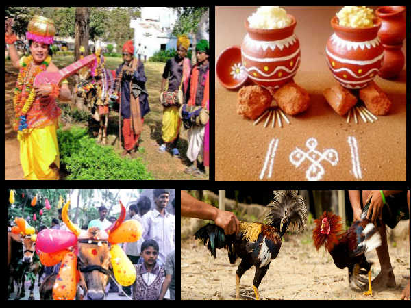 Sankranti Special 2020