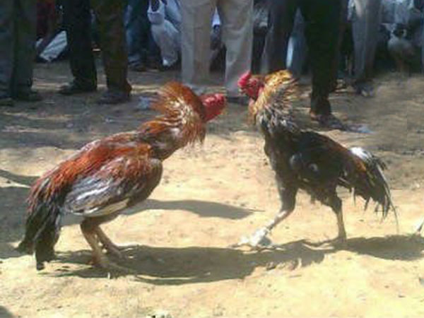 విదేశాల నుంచి..