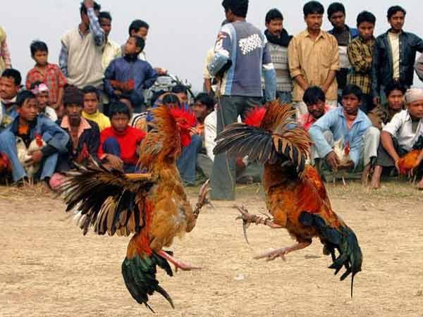 తిరుగు ప్రయాణాలు చేయరు..
