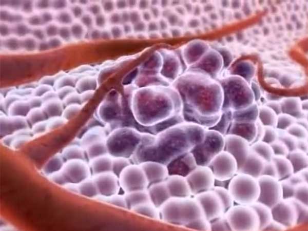 సమాచారం 1