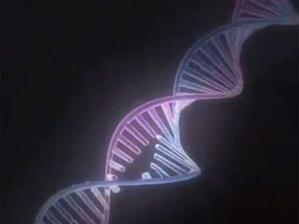 చక్కెర మీ క్యాన్సర్ ప్రమాదాన్ని ఎలా పెంచుతుంది?