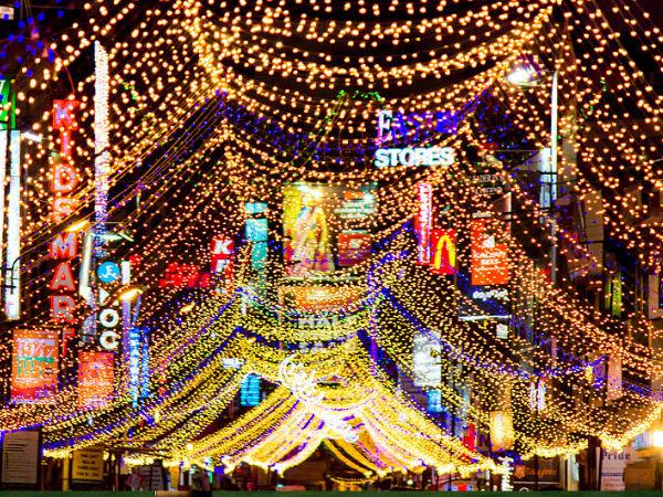 కుండీల రూపంలో..