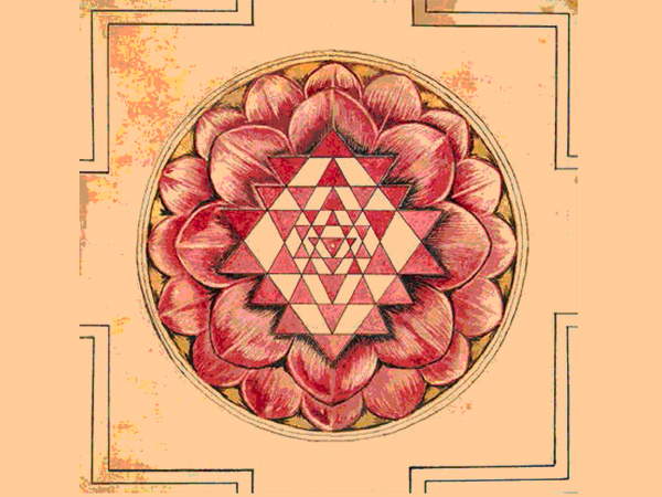 ఎక్కడ ఉంచాలి