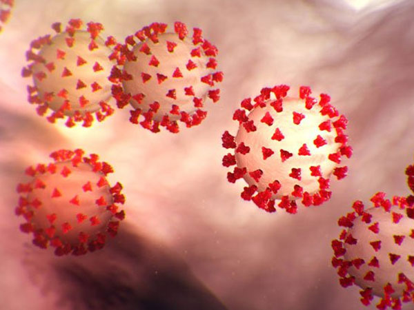 ఎటువంటి ప్రభావం ఉండదు