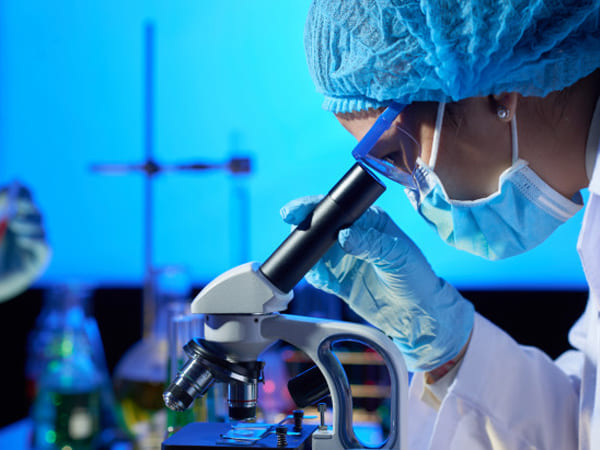 అధ్యయనం