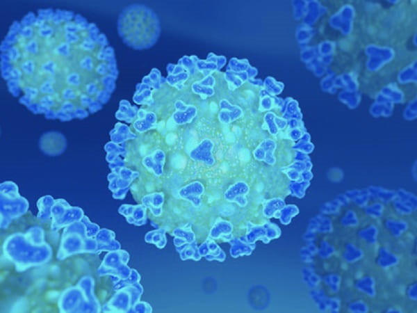 సిలోన్ టీ మరియు SARS-CoV