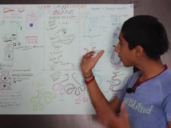 అభిఘ్య సూచనలు..