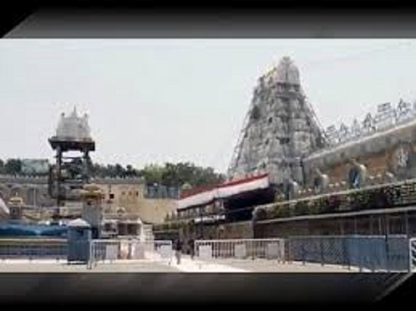 జంతువుల హడావుడి..