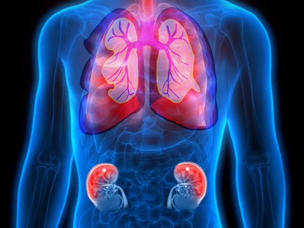 చ్యవాన్‌ప్రాష్ యొక్క ఇతర ఆరోగ్య ప్రయోజనాలు: