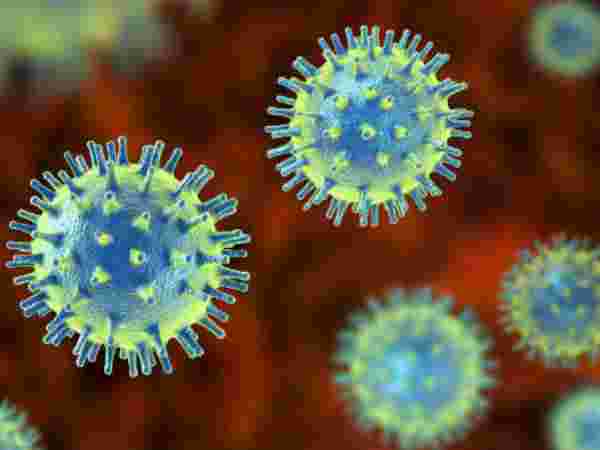 న్యూస్ ఛానెళ్ల ద్వారా..