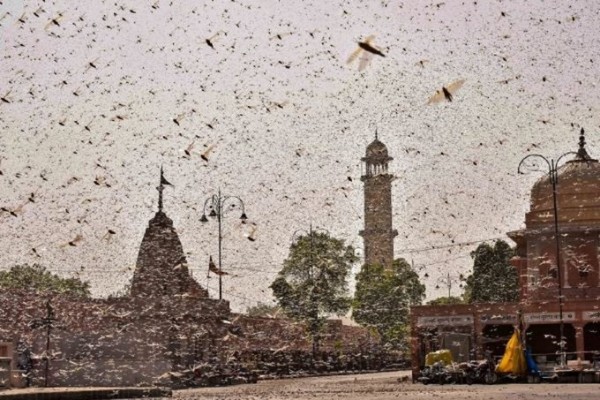 ఒక్కరోజులో..