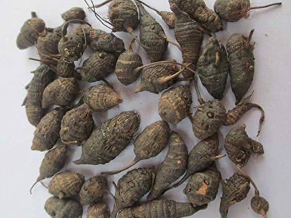 కావలసినవి