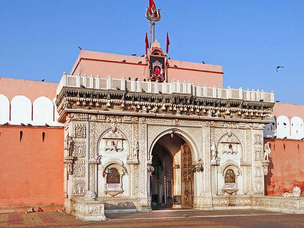 Peculiar temples : Here worshipping bats, frogs, rats & mosquitos