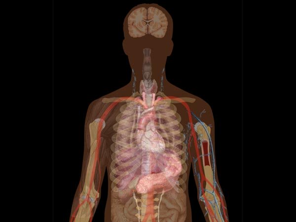 4. సెప్సిస్