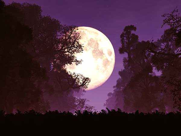 23 జూలై, గురువారం: హరియాలి తీజ్