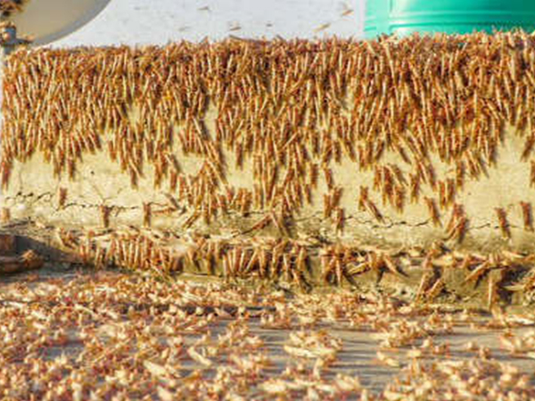 27 ఏళ్ల తర్వాత..