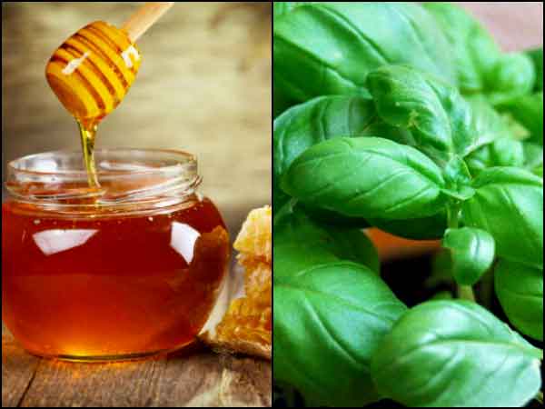 తులసి మరియు తేనె