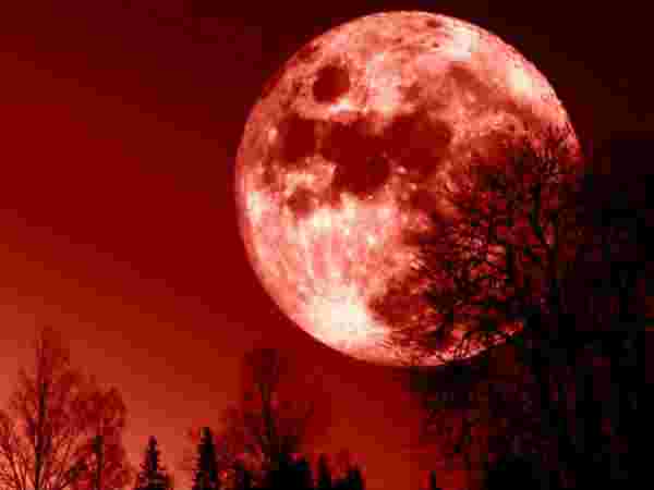 గ్రహణం సమయంలో..