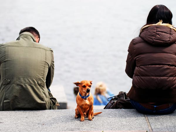 Man divorces wife two days after wedding atter finding out she was a man