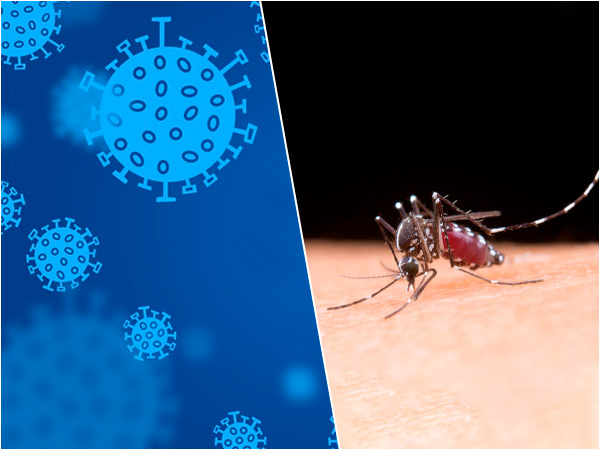 డెంగ్యూ మరియు కరోనాను నివారించడానికి ఏమి చేయాలి