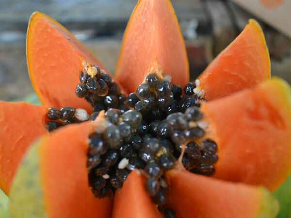 4. అలసట తొలగిపోతుంది: