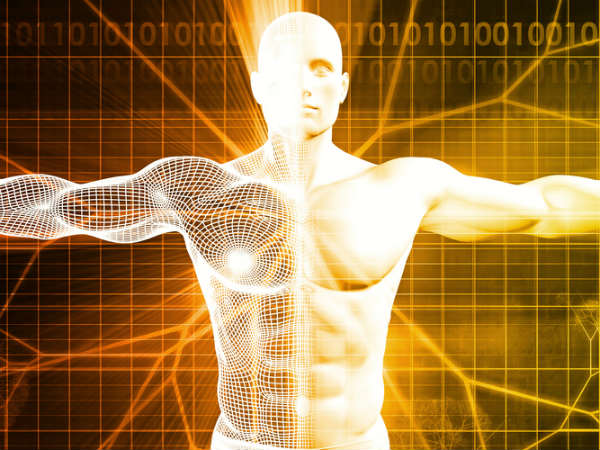 5. కండరాల బలాన్ని పెంచుతుంది: