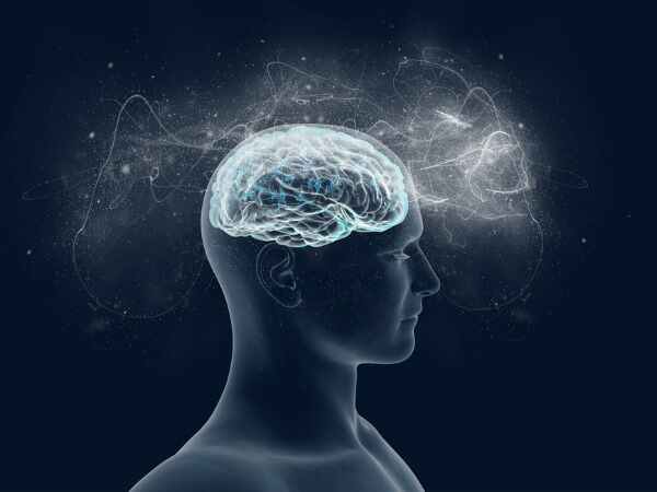 8. మెదడు శక్తిని పెంచుతుంది: