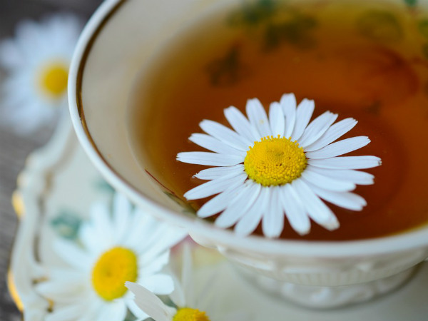 చమోమిలే టీ: