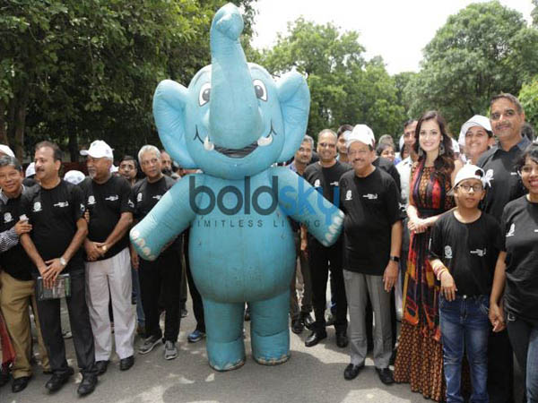 జంతు ప్రేమికుల ఆందోళన..