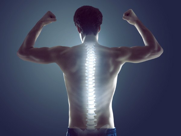  12. ఎముకలు గట్టిపడతాయి: