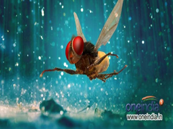 ఓ తాతయ్యను ఇరిటేట్ చేసిన ఈగ..